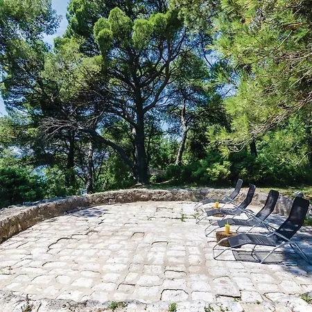 Villa Viola *
